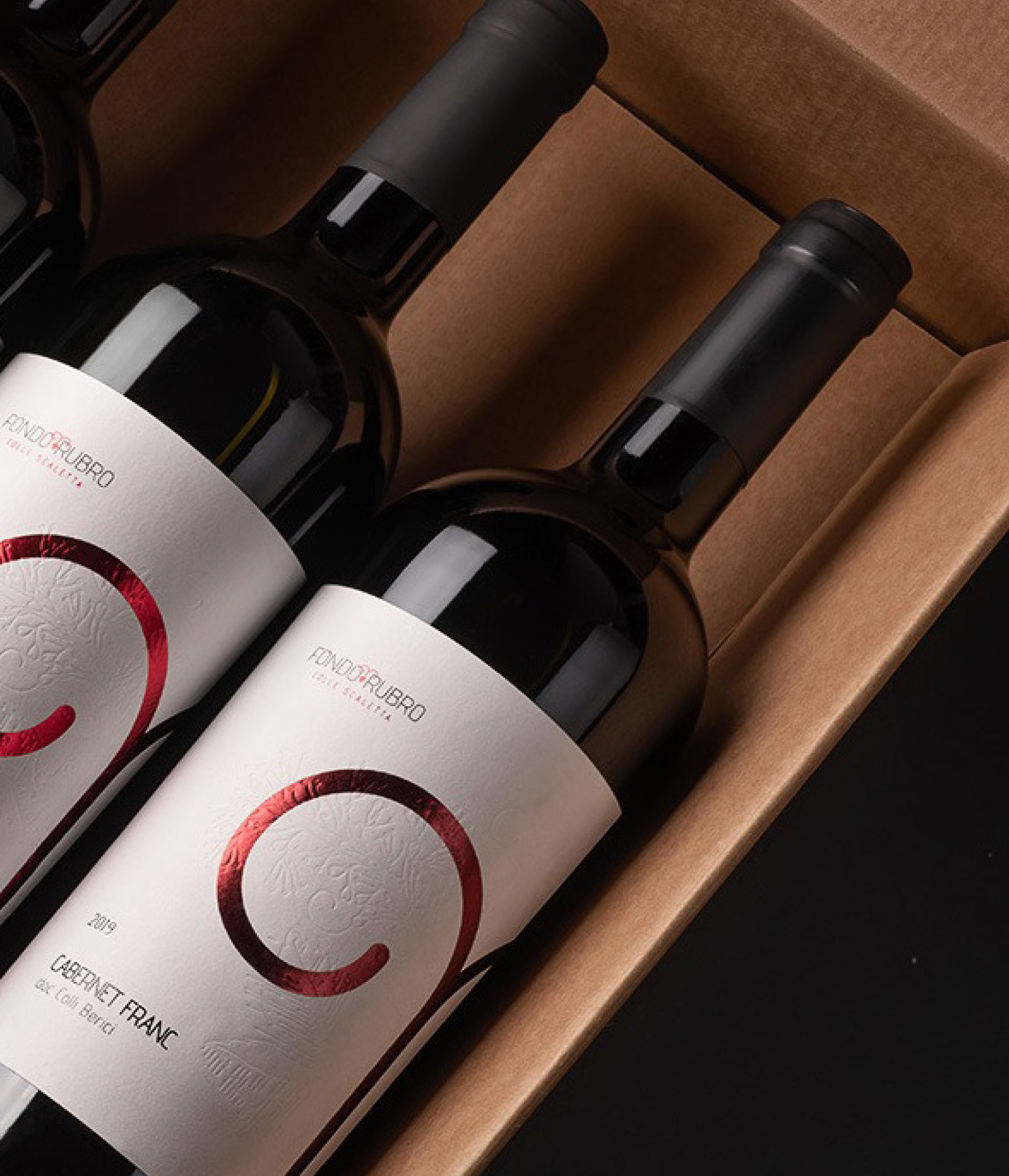 Dettaglio vite e filari toscani